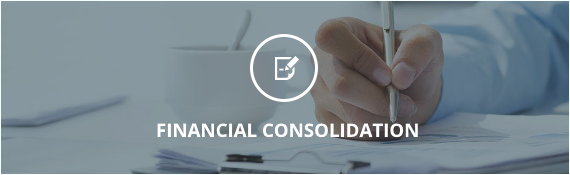 financial consolidation software