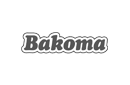 budgeting and forecasting for Bakoma